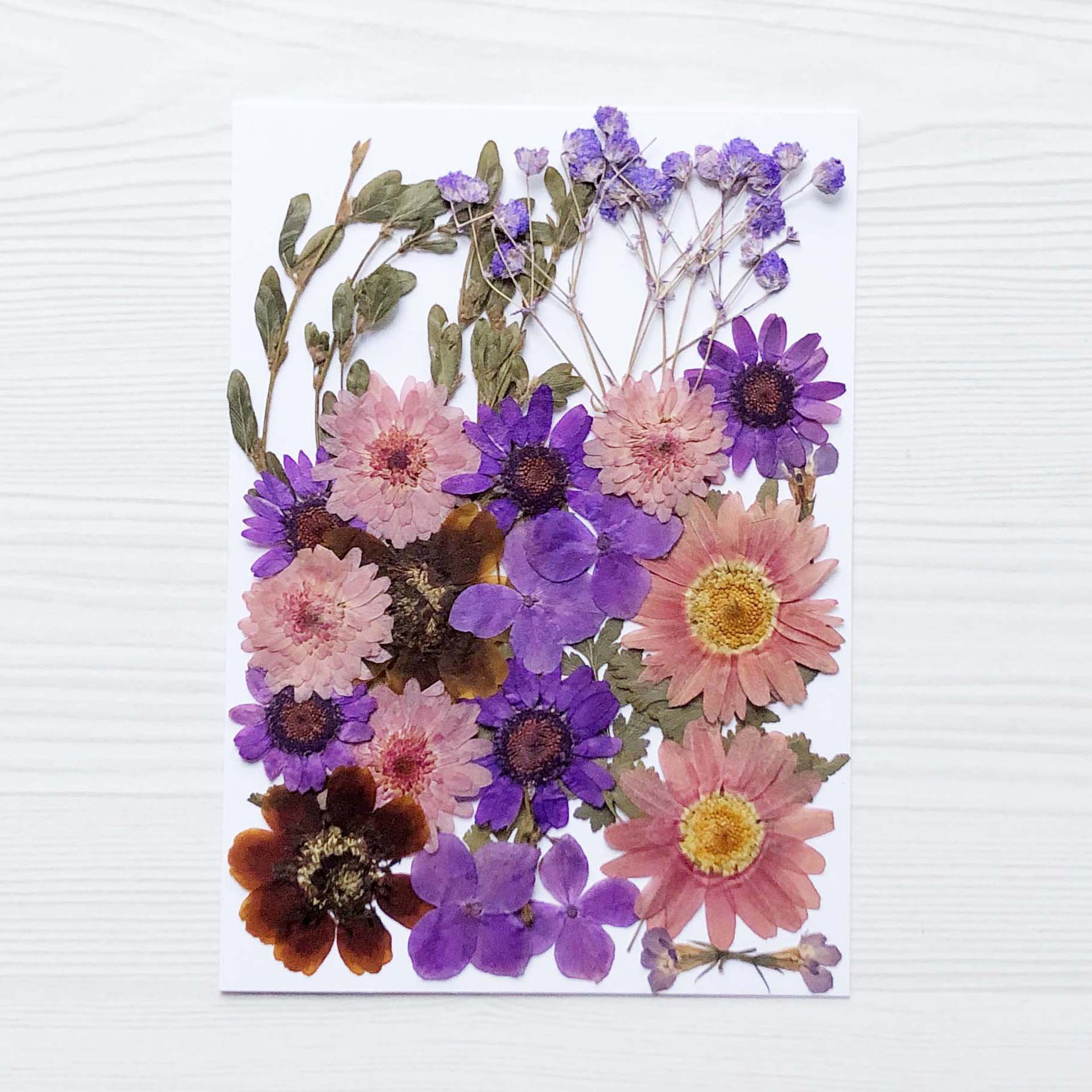 押花diy干花压花包滴胶手机壳 植物标本写真贴幼儿园手工花材包