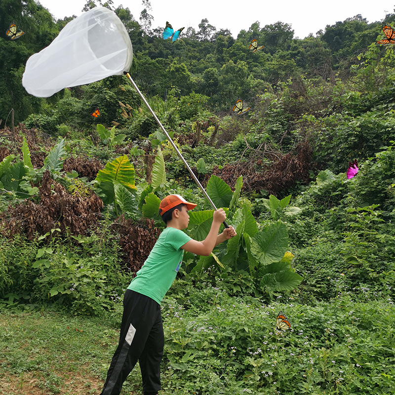 批发不锈钢金网扑 儿童捕虫网捕蝴蝶蜻蜓昆虫网伸缩捞鱼网虾蝌蚪