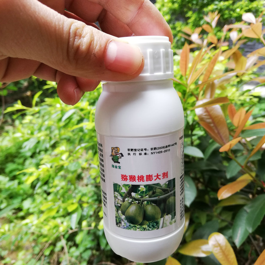 淘金宝猕猴桃丰产素膨大剂维c高口感好不空心红阳秦美海沃德