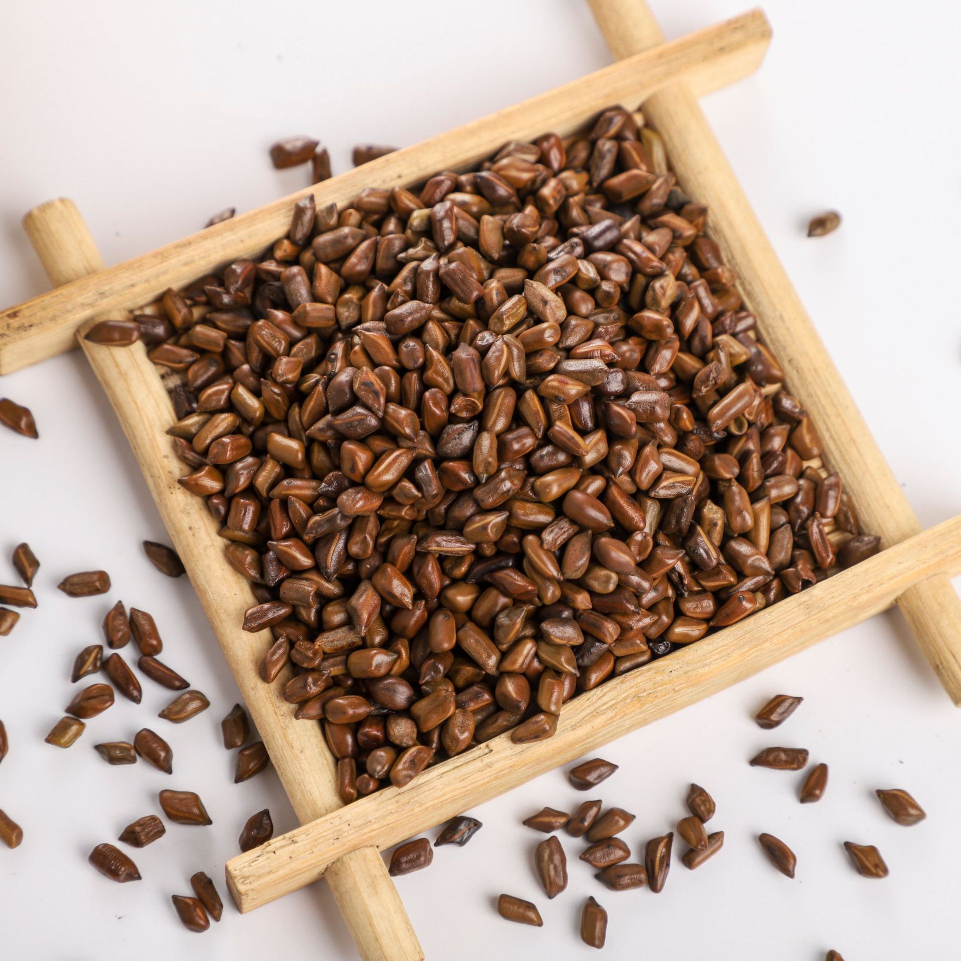 国产大粒决明子茶熟决明子茶散装新货决明子粒厂家直销大货批发