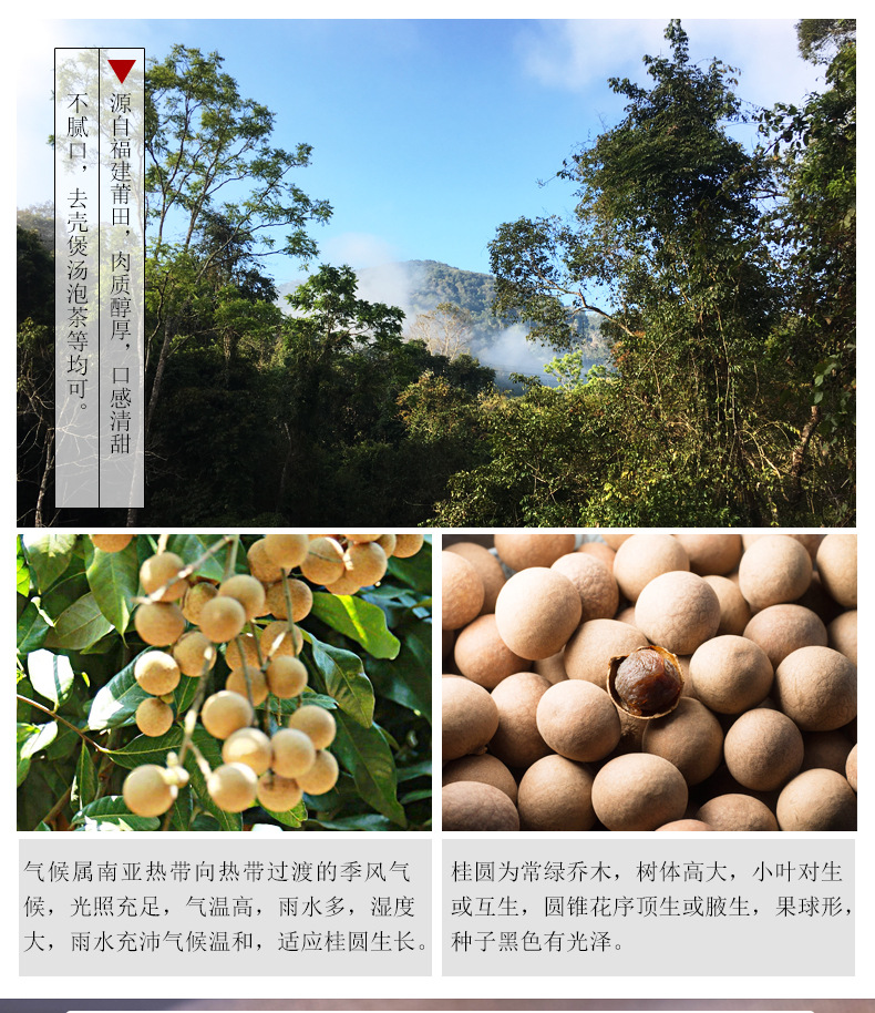 莆田桂圆批发 新鲜桂圆肉干500g带壳龙眼干桂圆干一件代发