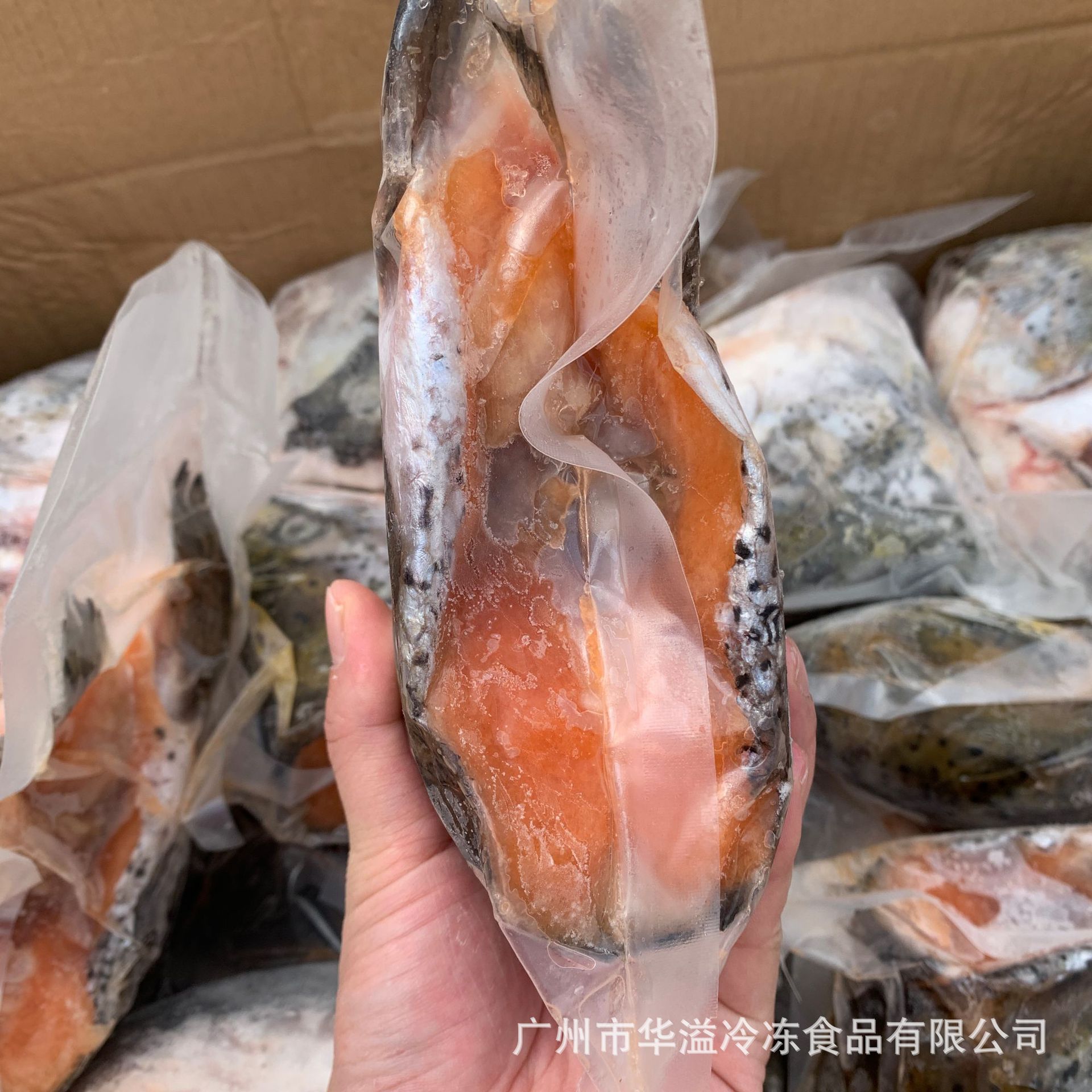 冷冻三文鱼鱼头 500克规格30斤/件 广州批发真空包装三文鱼鱼头