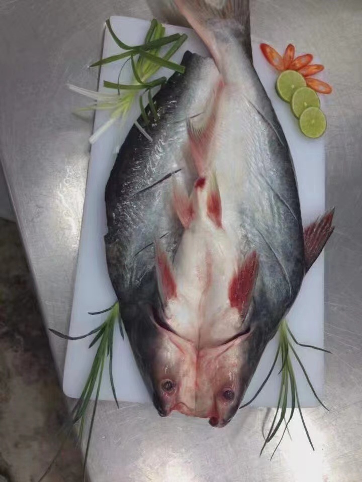 越南 九成 开背巴沙鱼(散装)(正关进口)诚招代理进口合作商