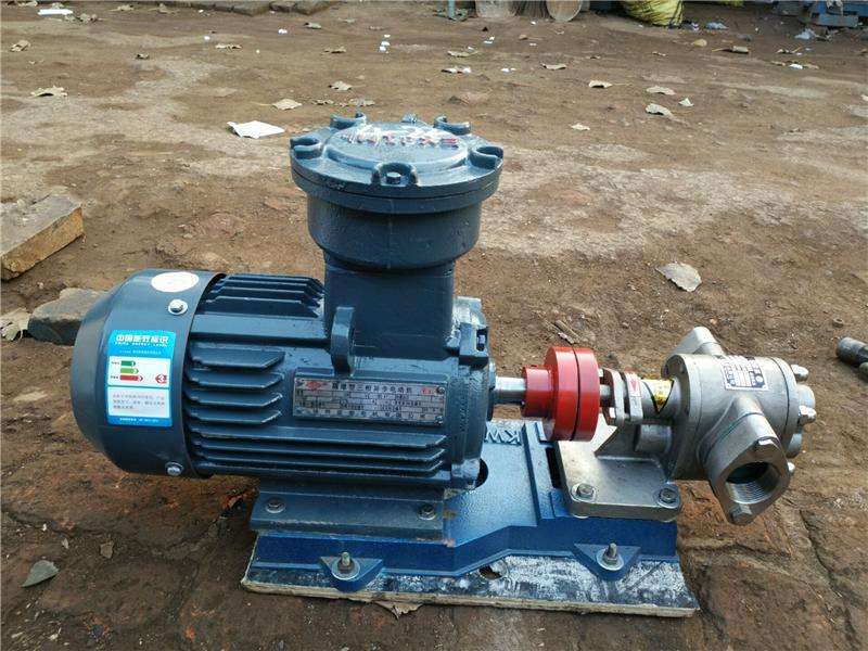 不锈钢易燃防爆整机泵工作原理铜齿轮齿轮泵大全现货足