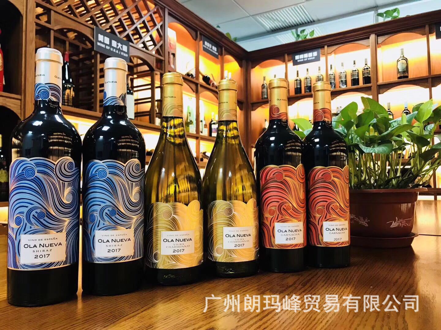 西班牙祥云ola nueva鎏金莎当妮干白葡萄酒