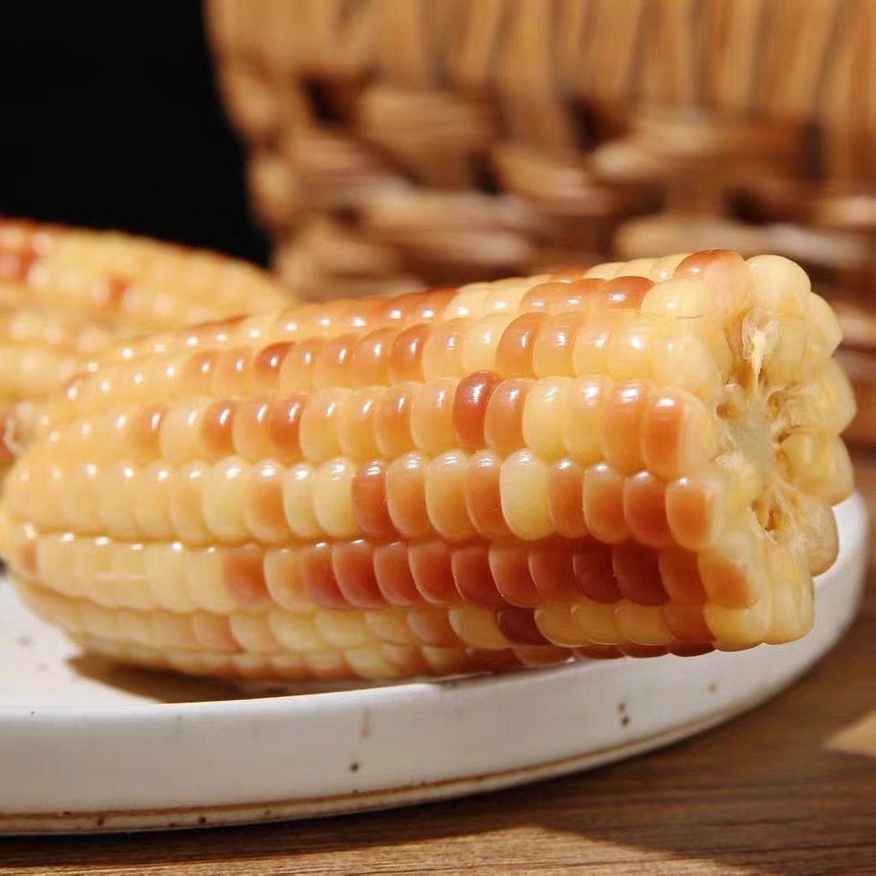 云南西双版纳香糯小玉米 新鲜真空独立包装 甜糯黏玉米棒 粗粮