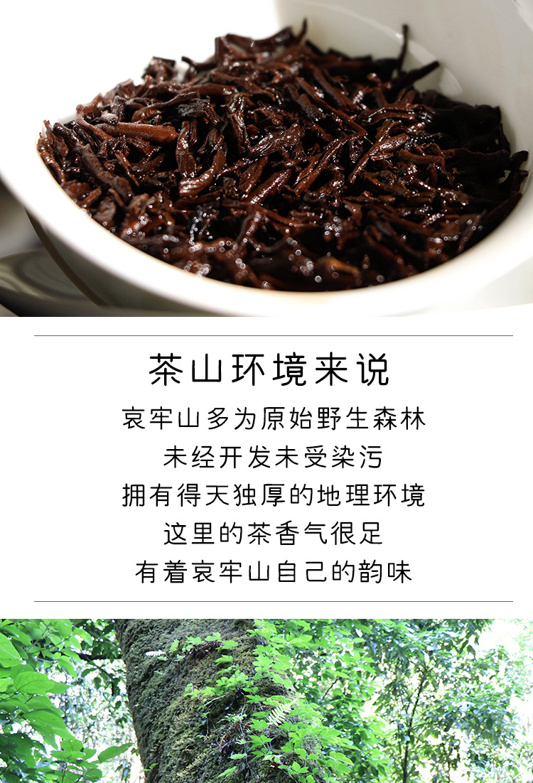 【2016年熟茶】云南普洱357克哀牢山古树头春料发酵普洱古树熟茶