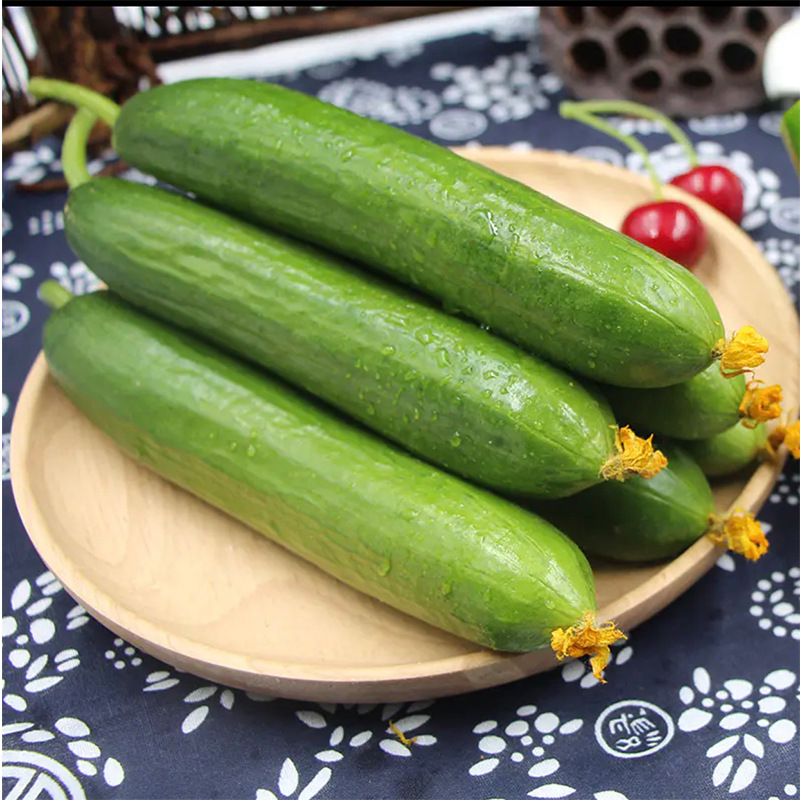 小黄瓜水果黄瓜