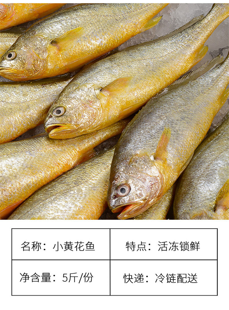 顺丰发 小黄花鱼新鲜海鲜海鱼冰冻海鲜水产海鲜全年小海鲜30%组合
