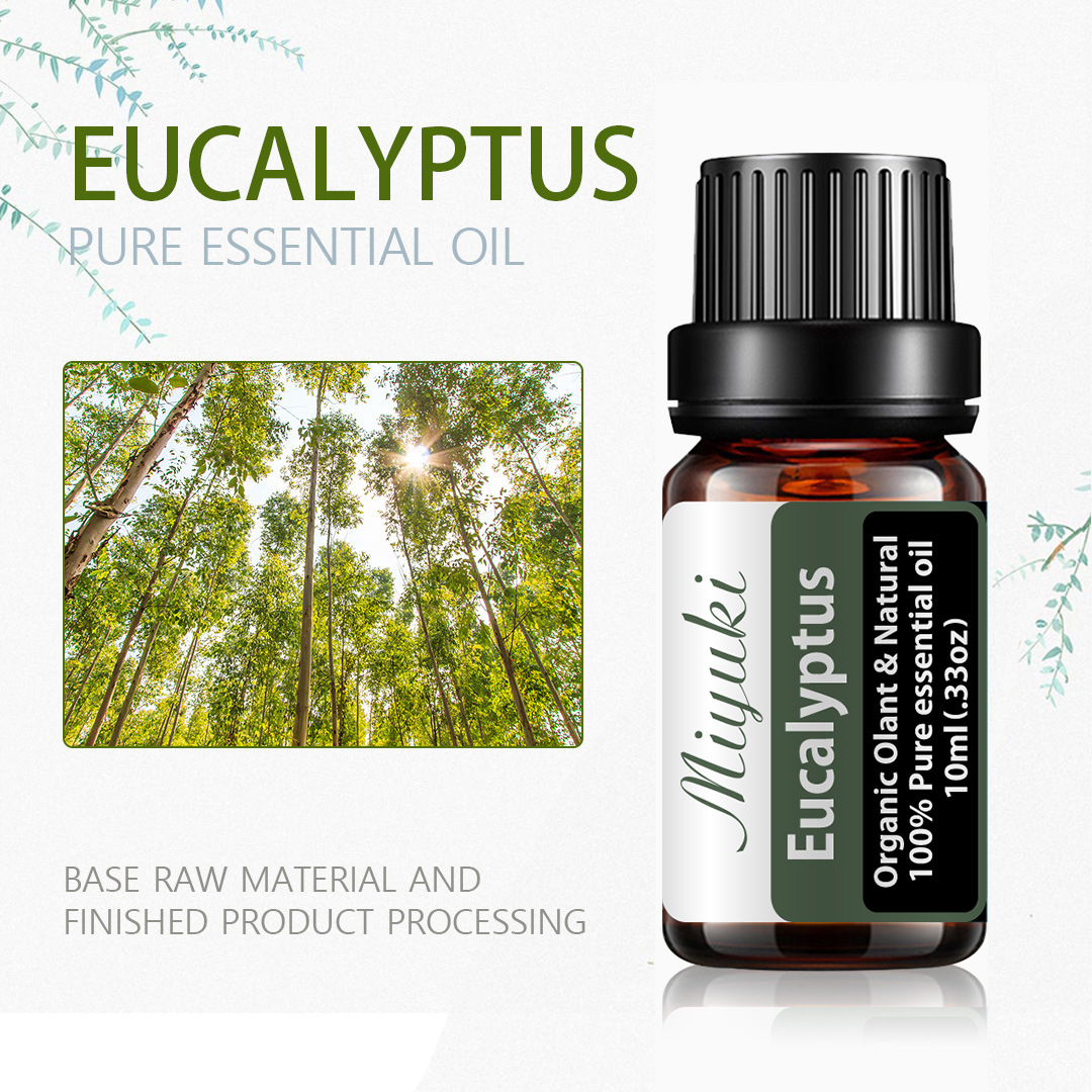 尤加利精油 eucalyptus eo植物单方精油厂家现货桉树精油蚊虫精油