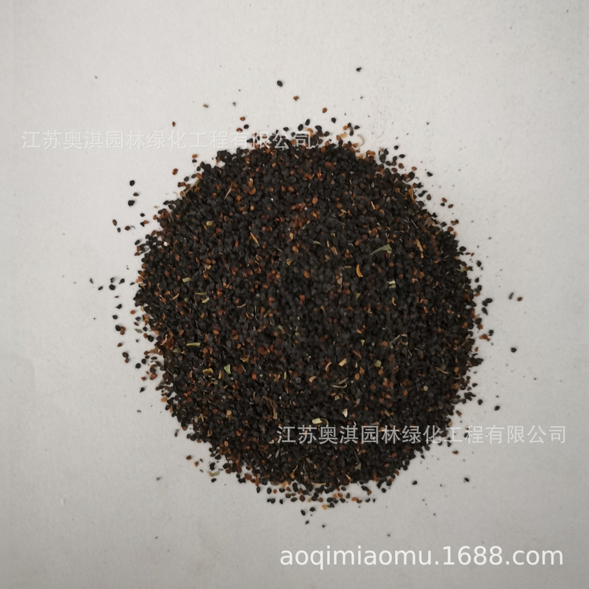 五彩石竹种子美国石竹须苞石竹种子花籽盆栽多年生景观花卉种子