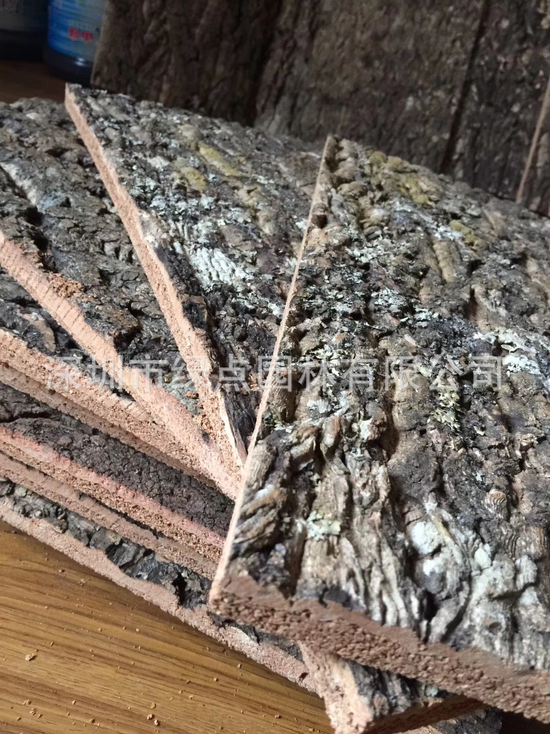 软木树皮香槟树木皮 爬宠鱼缸造景树皮水族装饰真树皮贴墙面树皮