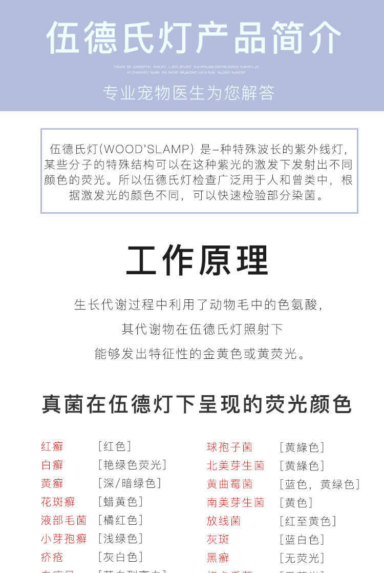 新款黑镜365nm猫藓灯伍德式紫光灯荧光剂检测手电筒uv灯厂家供应
