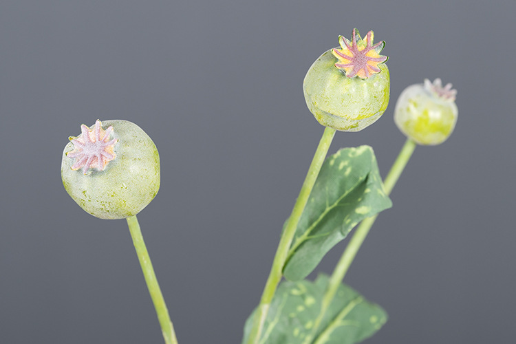 仿真罂粟果装饰花艺果实秋色虞美人果植物家居客厅酒店样板房摆设