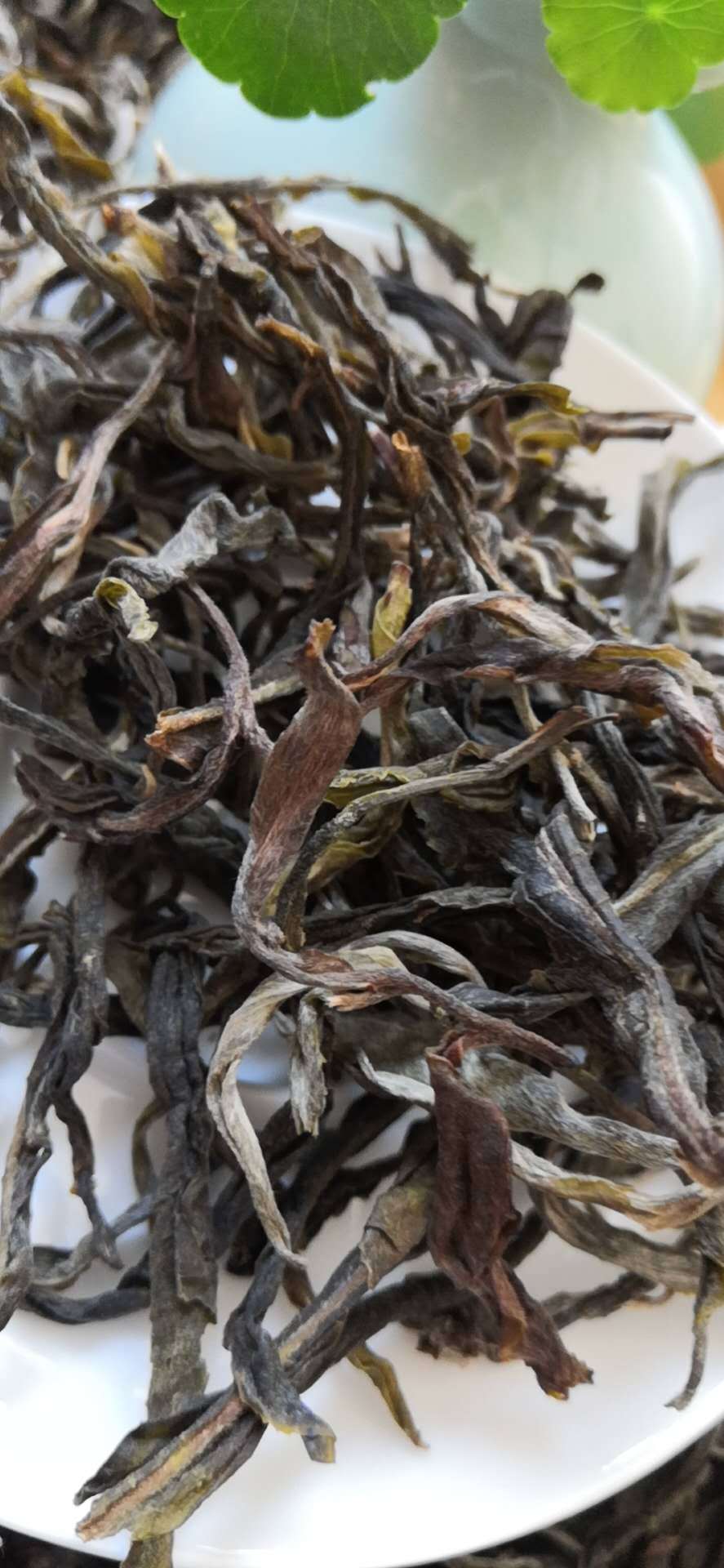 咏普号凤庆高海拔 生普 毛料 古树茶 老树茶普洱茶 平河普洱茶