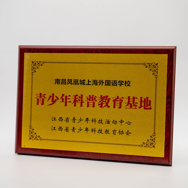 奖牌木质奖牌定制定做加盟授权奖牌牌匾公司单位比赛荣誉奖牌授权