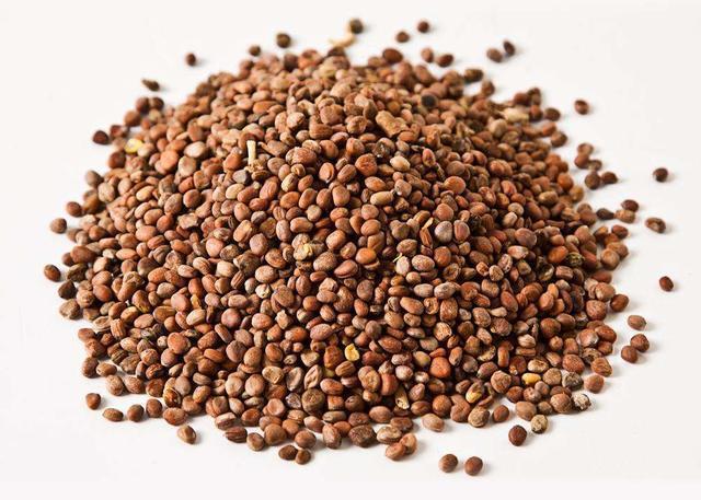 厂家直销 莱菔子提取物10:1 富含莱菔子皂甙 萝卜子粉 现货包邮