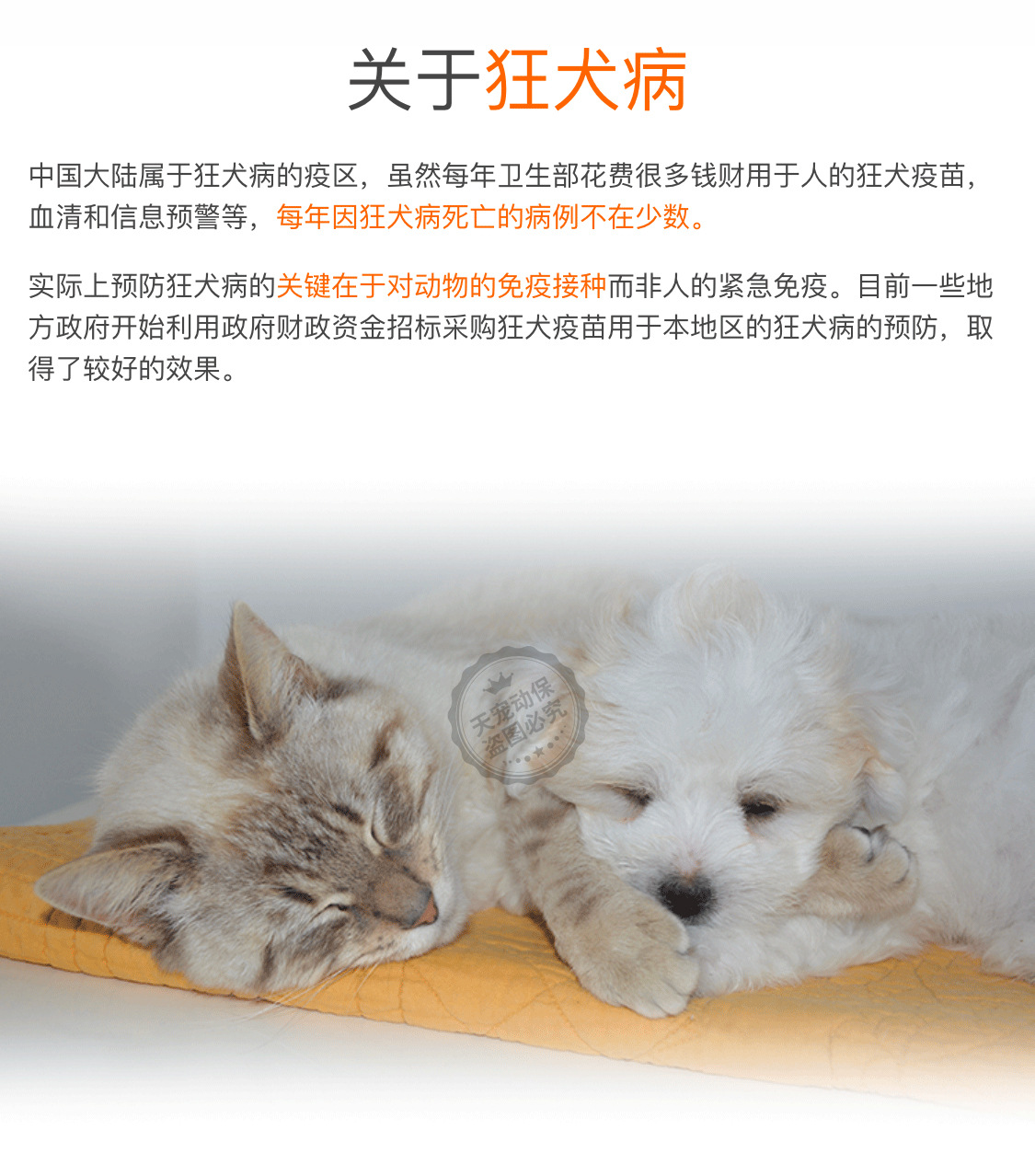 美国硕腾 瑞比克 狂犬灭活疫苗宠物犬猫通用辉瑞单联礼来正品行货