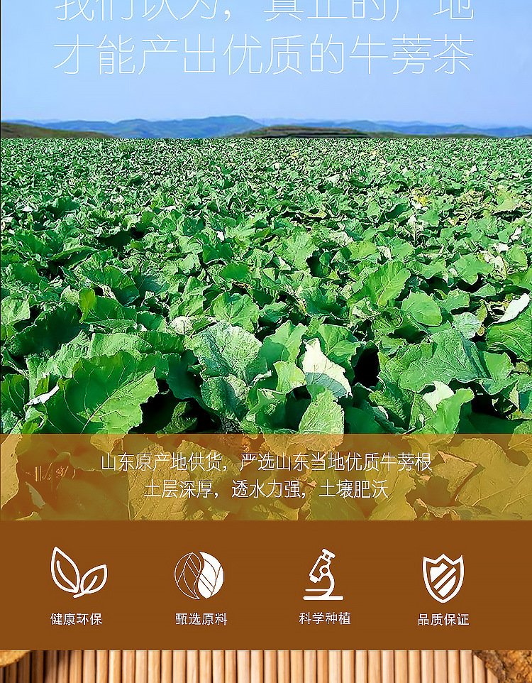 厂家直销 黄金牛蒡茶100克罐装牛蒡根花草茶可代发oem贴牌代加工