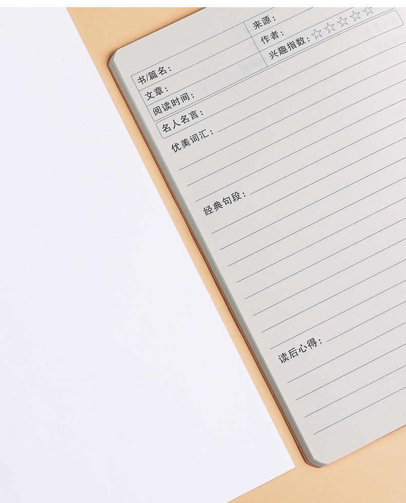 读书笔记本子 b5小学生阅读摘记摘抄本用记录本 好词好句积累本