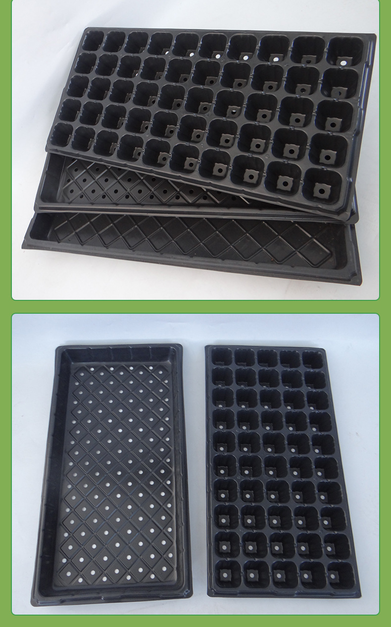 厂家供应加厚用多肉蔬菜育苗穴盘苗盘育苗盘规格多样快速播种