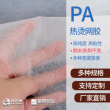 厂家销售PA热溶胶网膜 热烫网胶 高黏性 耐水洗干洗 多种克重