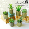Gold-plated cement simulation Succulent plants Potted plant originality Decoration Home Furnishing Manufactor Supplying simulation Botany bonsai Gold-plated cement simulation Succulent plants Potted plant originality Decoration Home Furnishing Manufactor Supplying simulation Botany bonsai