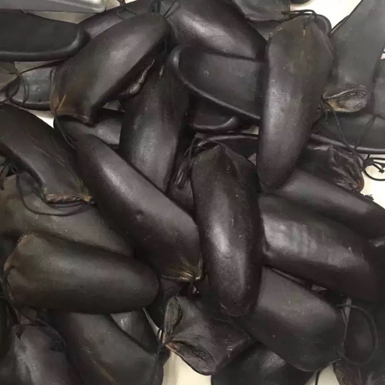 鹿尾巴马鹿鹿尾干鹿尾16克～90克梅花鹿鹿尾名贵药材礼品