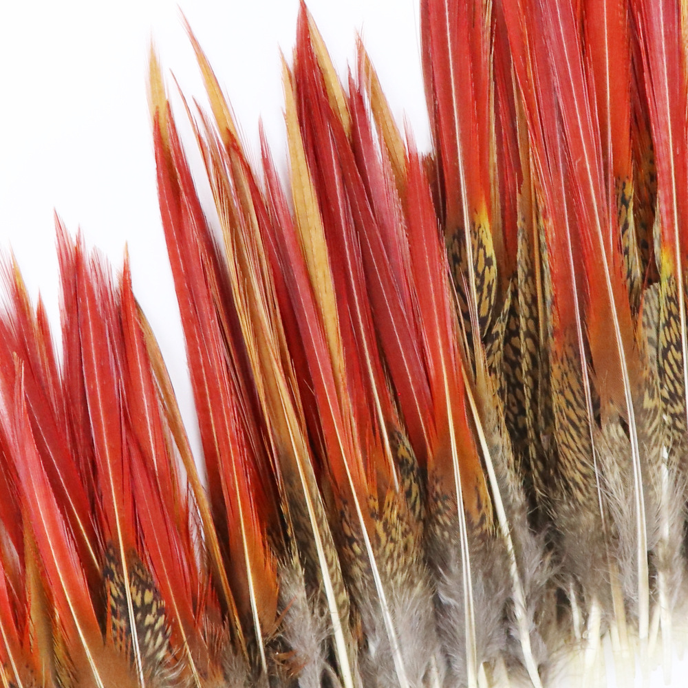 厂家直供公鸡羽毛野山鸡毛diy手工锦鸡红箭装饰配件辅料饰品批发