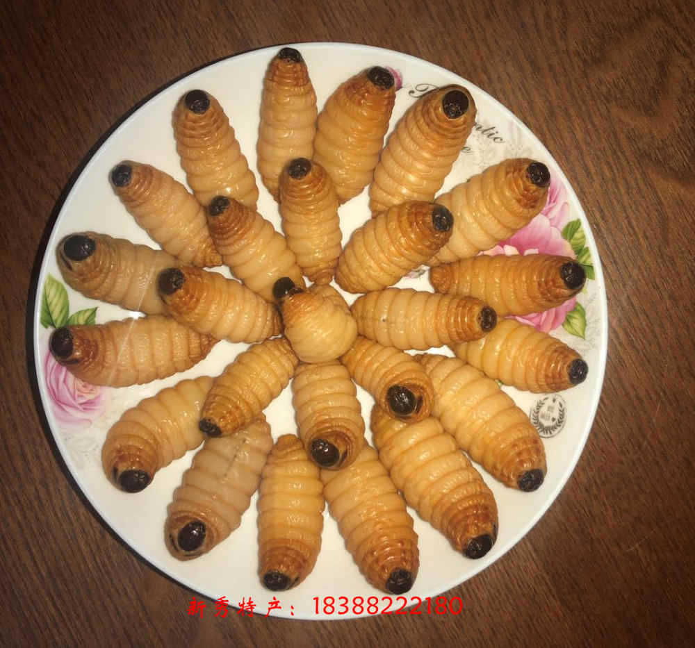 竹笋虫 400克速冻食用竹笋虫 新鲜美味笋蛹 云南特产食用昆虫