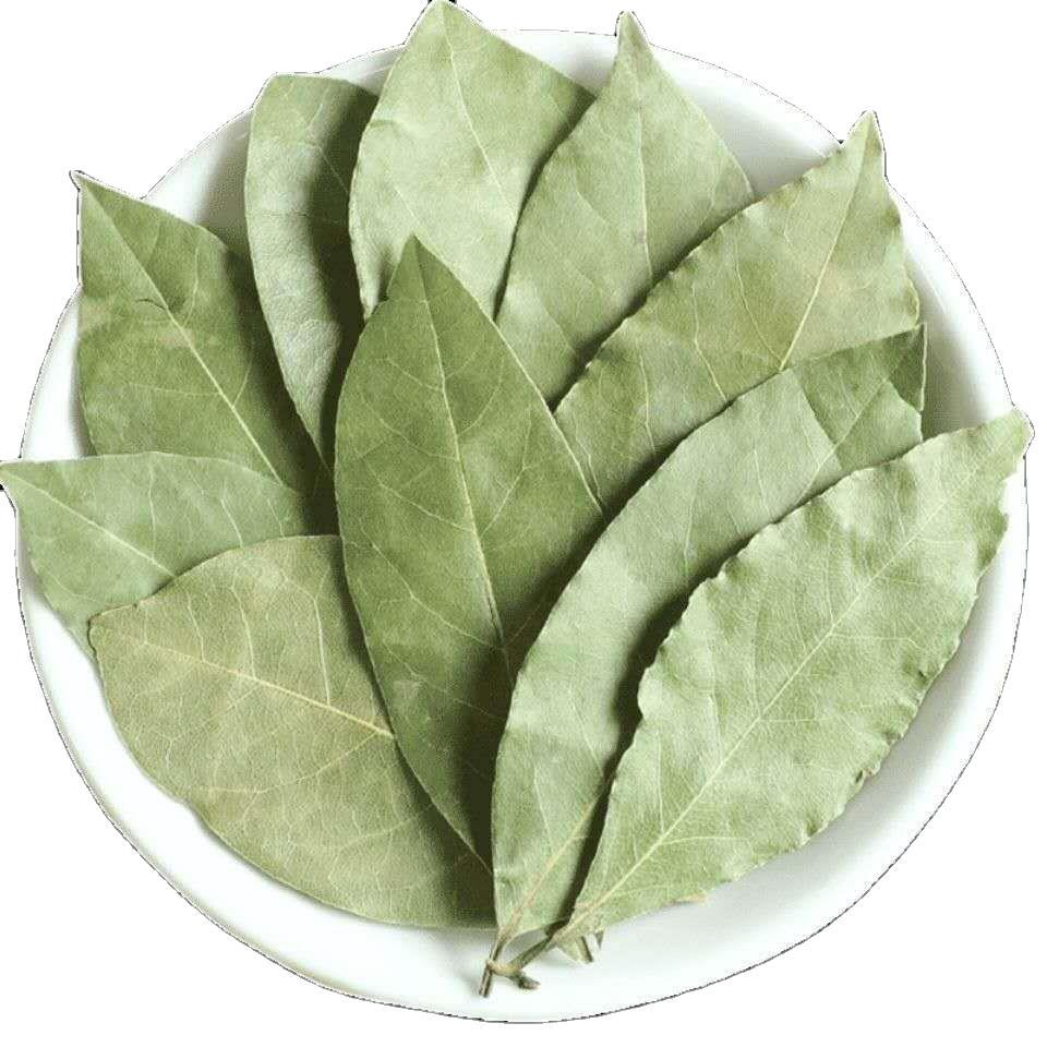 香叶月桂叶绿香叶火锅底料调味品格拉琪亚产地货源热红酒料包批发