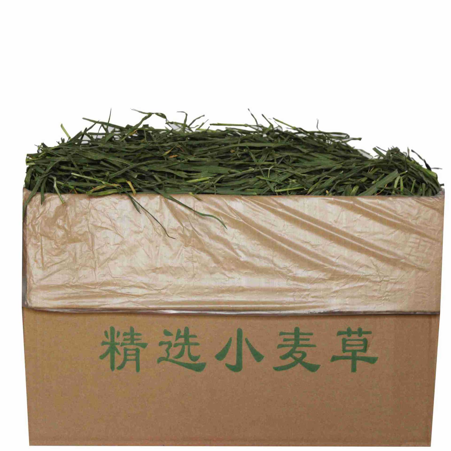 烘干小麦草毛重1000克嫩苗草牧草兔子草荷兰猪草龙猫牧草豚鼠草营