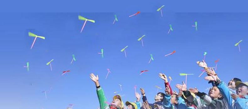 手搓不发光竹蜻蜓大号18cm竹蜻蜓经典双飞叶飞天仙子塑料玩具批发