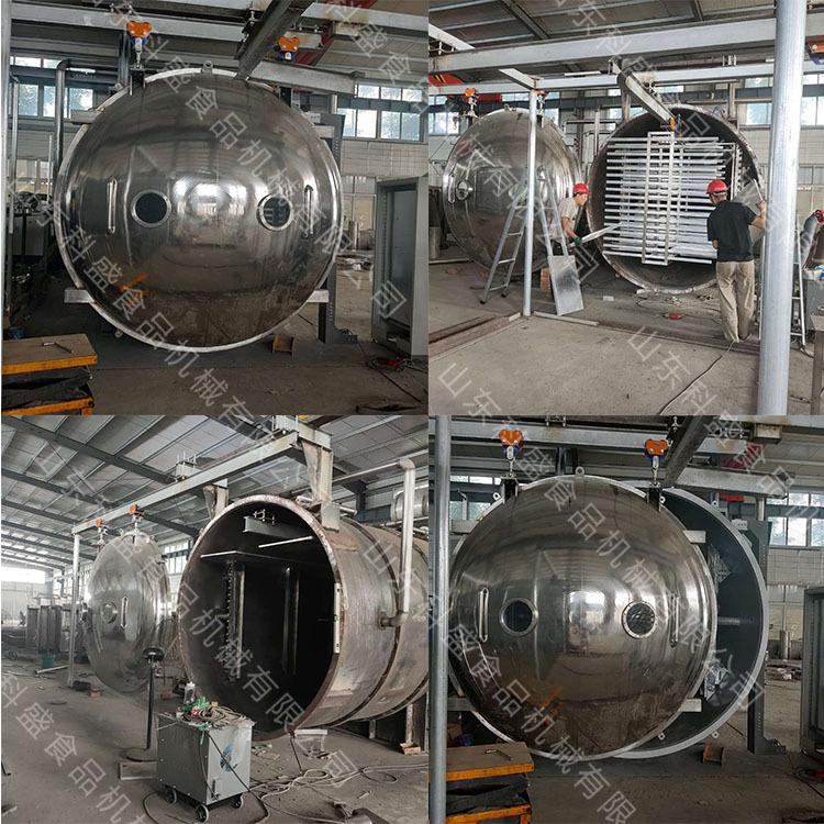 调味品fd真空冷冻干燥机 火龙果水果片真空冻干机 蔓越莓冻干设备
