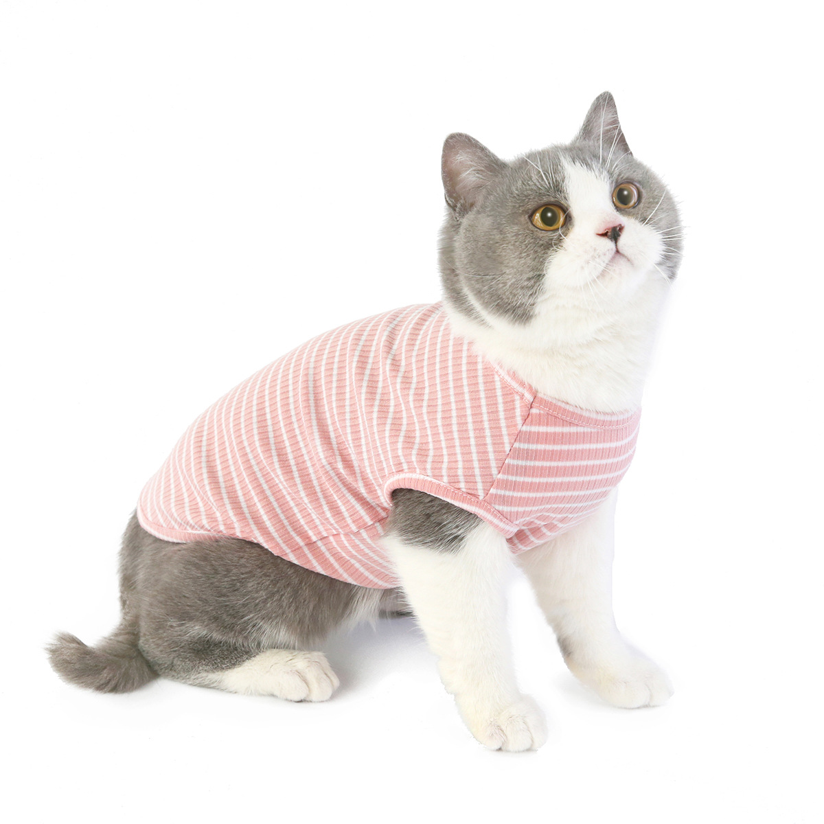 猫咪衣服夏季薄款五色背心英短蓝猫宠物服装夏天防掉毛猫猫空调服