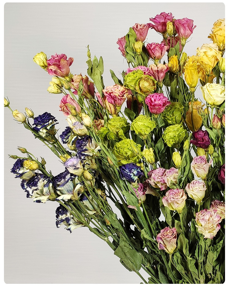 厂家直销洋桔梗干花花束 ins干花北欧批发乾燥花装饰干花客厅摆设