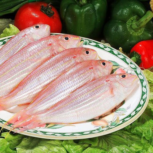 金线鱼 红三鱼红杉鱼 海捕野生 海鱼冷冻鱼类 水产品 1件20斤