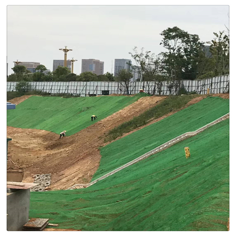 三维网护坡盖土土工网格高速边坡绿化植被网三维植被网绿化网坡面