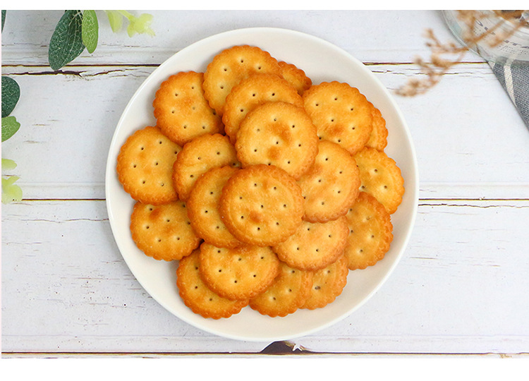 藤野一村小圆饼干248g 彩伦日式韧性海盐饼干网红零食一件代发