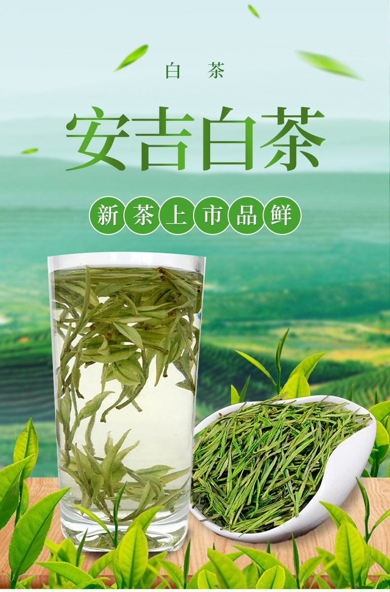 浙江安吉白茶 多规格散装包装白茶 2021原产地散茶批发