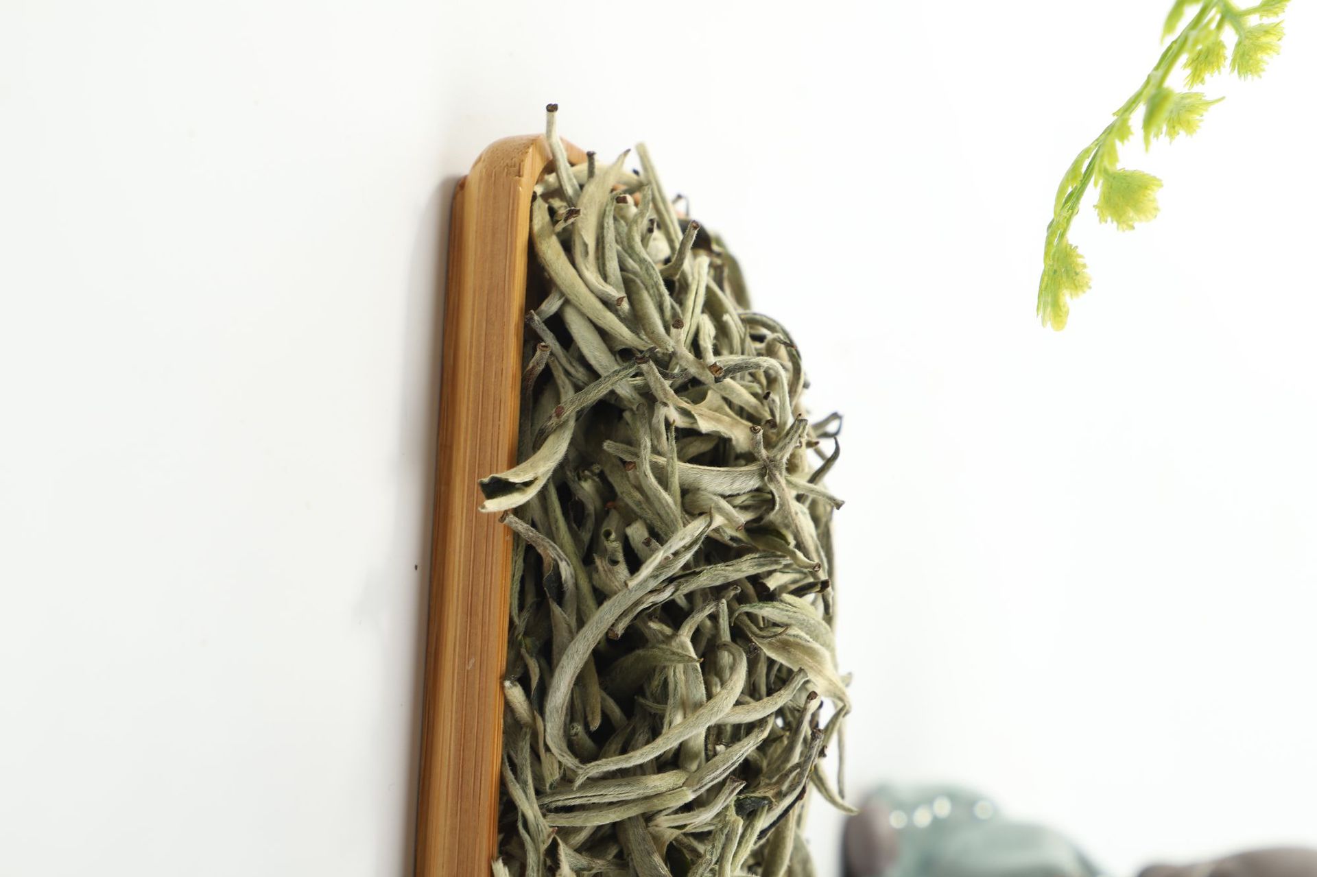 福建白茶 白毫银针 福鼎的白茶 散装茶叶批发 500g 厂家直销批发