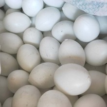 厂家批发现货实心塑料假鸽子蛋 注水引蛋 信鸽假蛋 信鸽用品用具