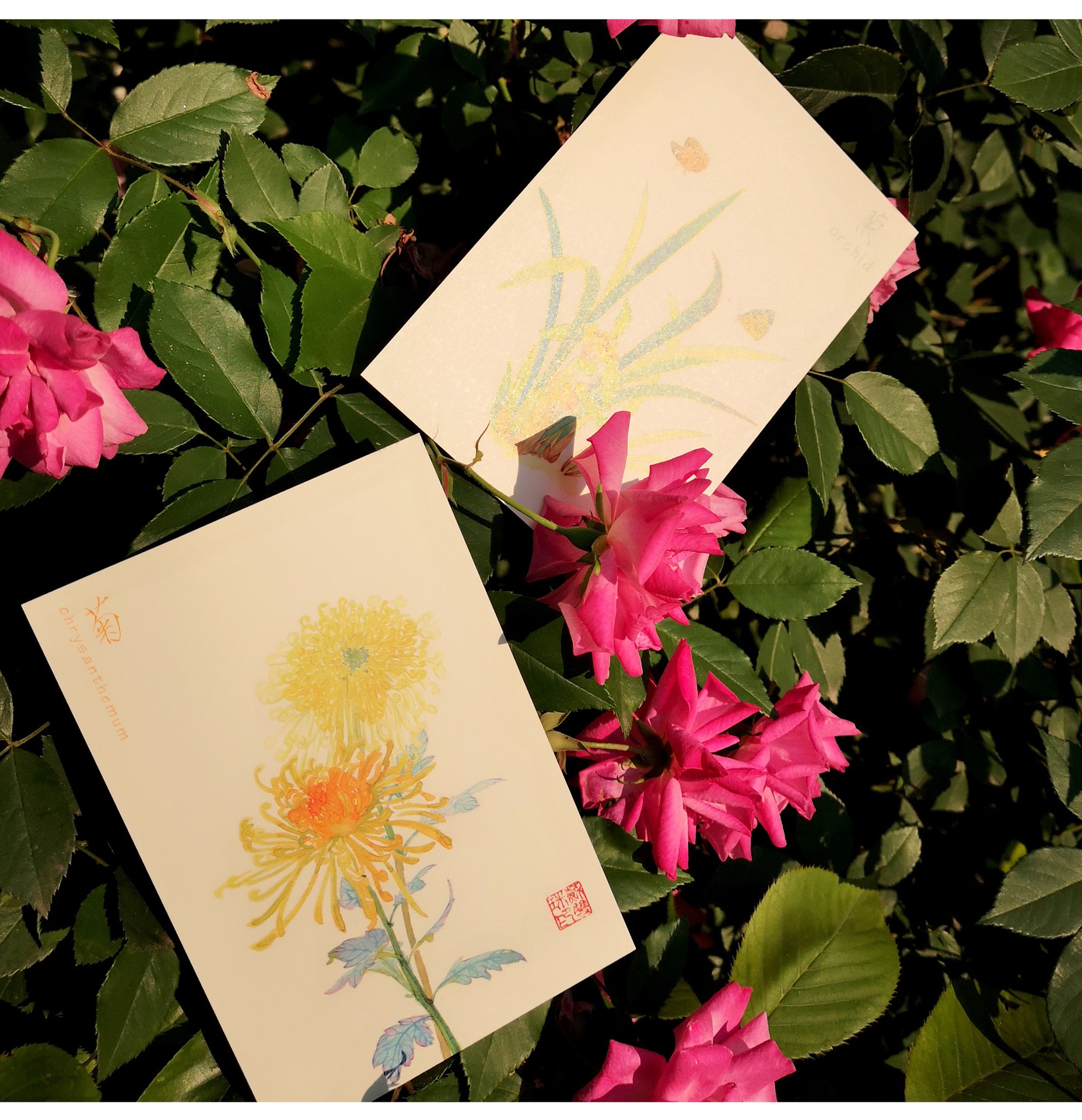 本心如荷原创手绘明信片梅兰竹菊风景特写礼盒包装1套4枚风格贺卡