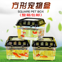 批发 手提乌龟运输盒 宠物盒 透明塑料金鱼缸仓鼠盒 运输盒饲养盒