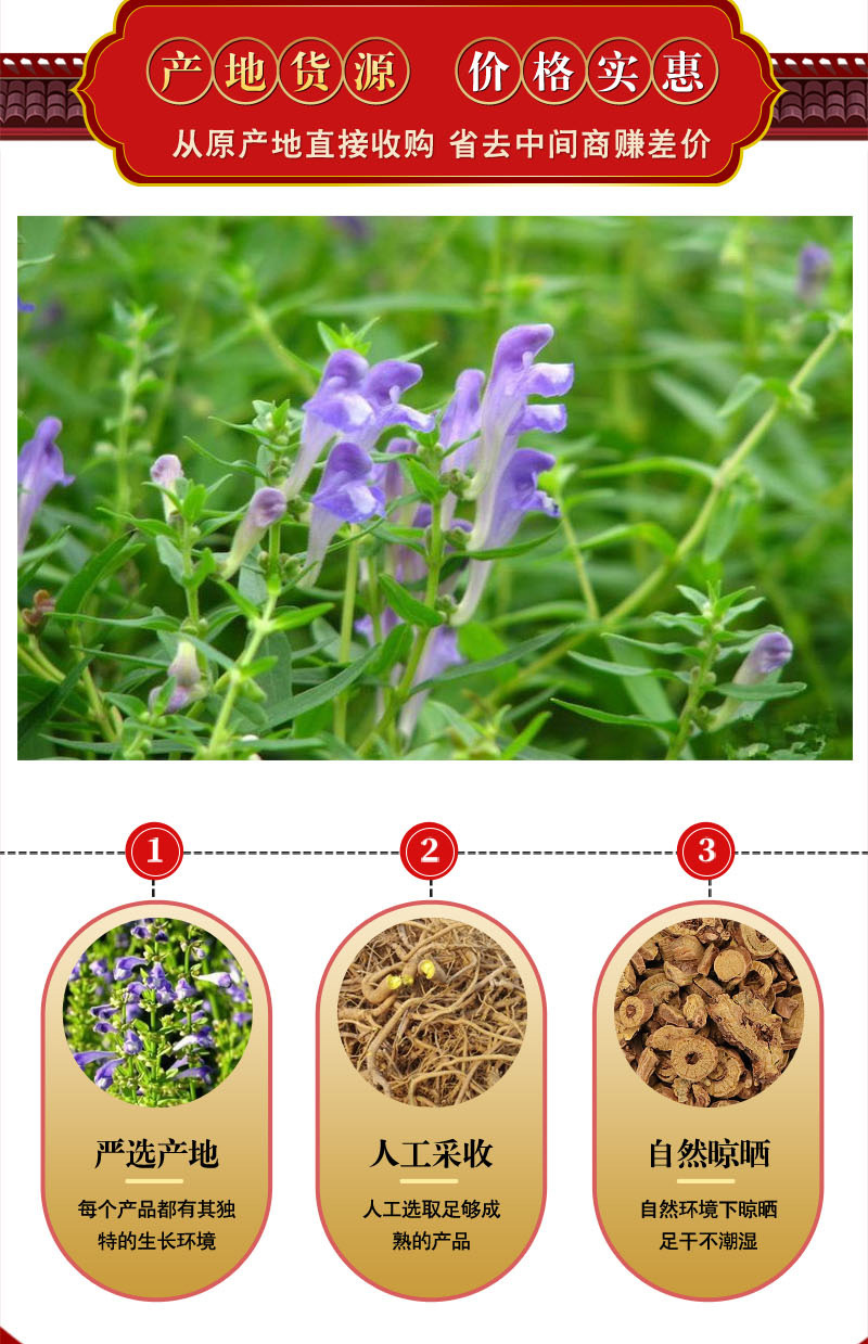 2020年无硫中药材 黄芩 甘肃黄芩 内蒙黄芪 支持药检 可开发票