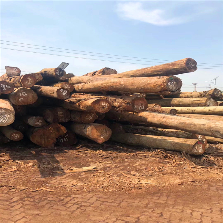 进口杂木原木烘干板材 防腐建筑工程柱子料 包装箱托盘料旋切
