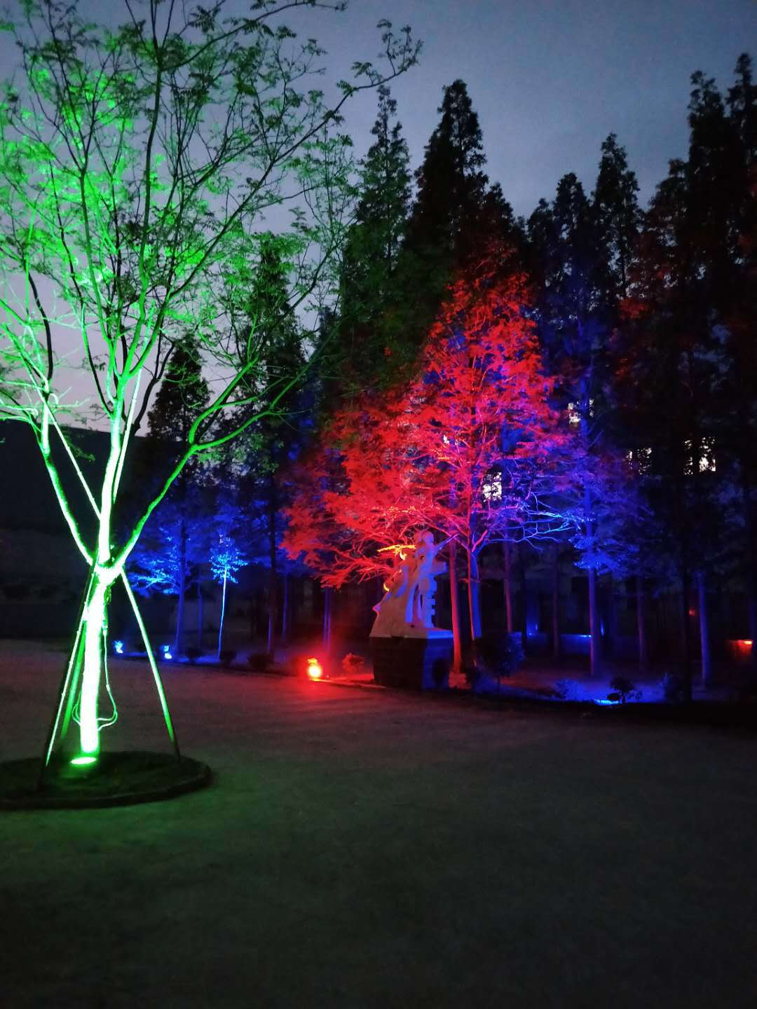 照树户外景观灯园林灯led草坪灯插地灯cob插地投光灯花园景观物