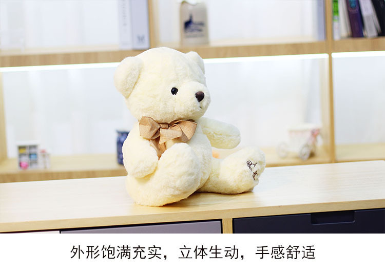 创意新款兜兜熊毛绒玩具公仔 可爱泰迪熊玩偶 送女友儿童节日礼物