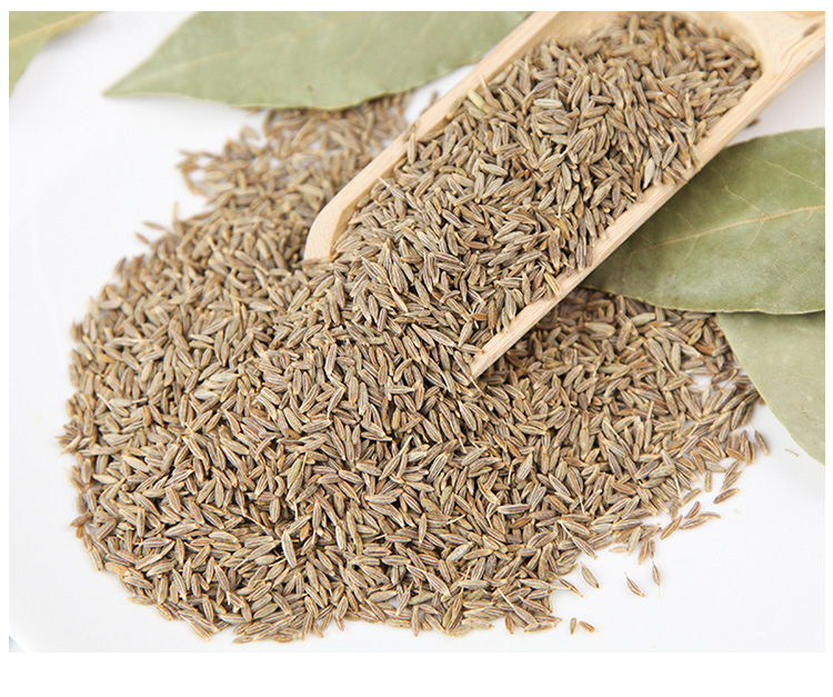 新标欧标印度原装进口孜然粒double miracle烧烤调味料腌料