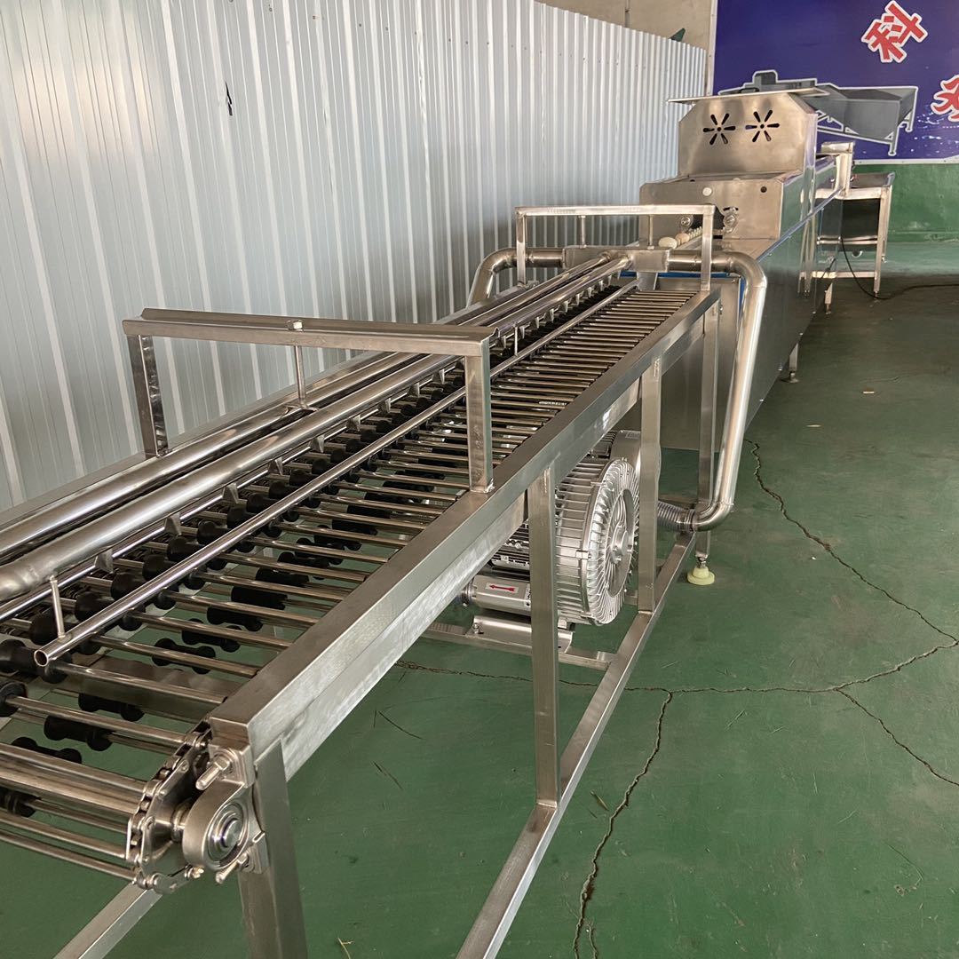 鸡蛋清洗机 鸭蛋自动化清洗流水线 全自动洗蛋机机型简单运行平稳